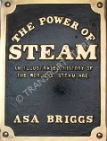 The Power of Steam  by BRIGGS, Asa 